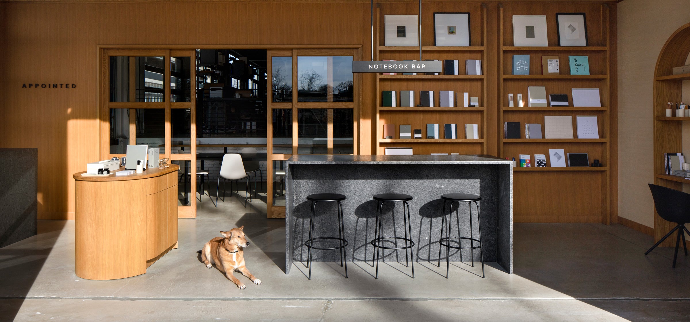 The Appointed District Shop, from the road outside shows a wood wall of Appointed products, the Notebook Bar, and various desk accessories. A brown dog lays in a sunbeam on the floor.