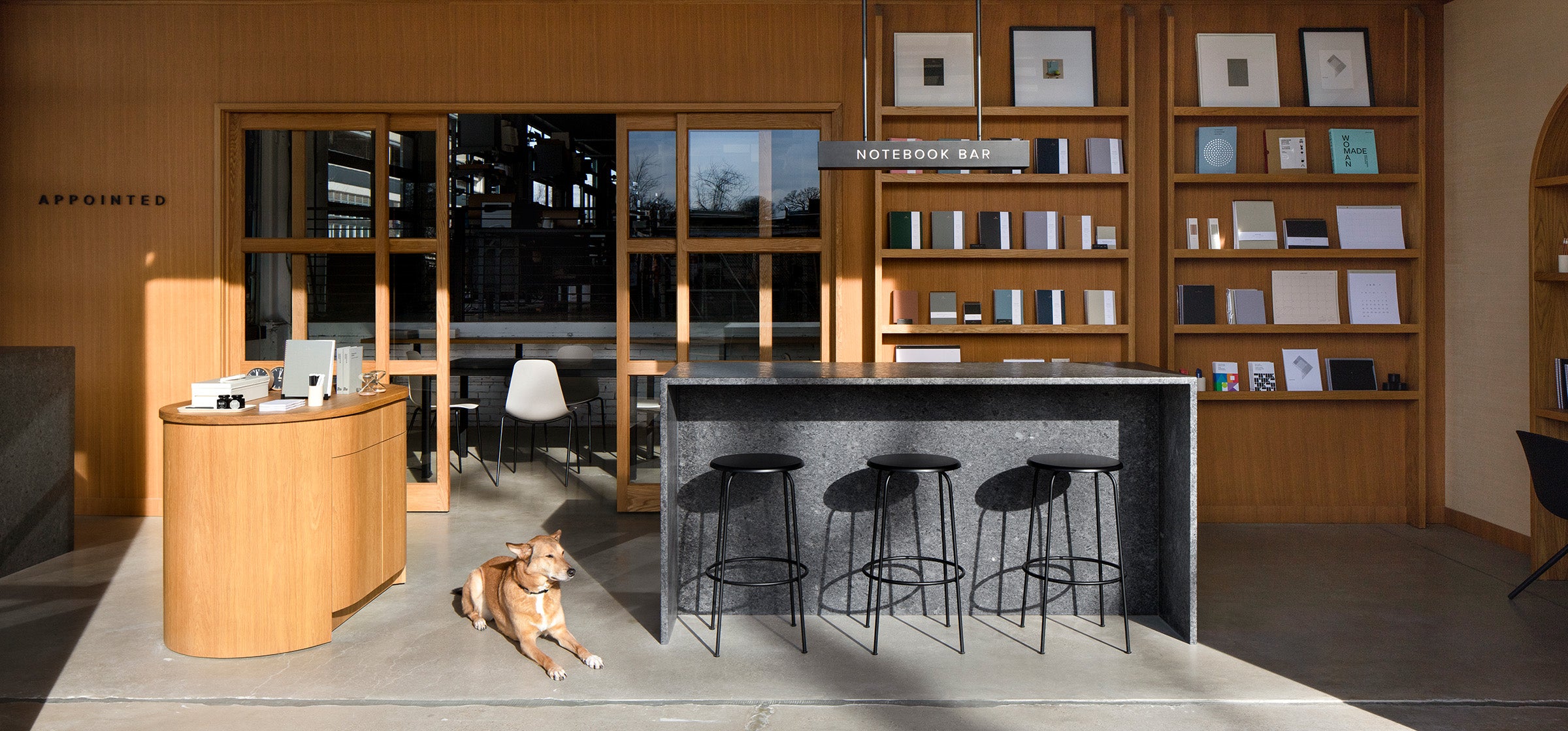 The Appointed District Shop dappled in sunlight. A dog lays in a sunbeam.