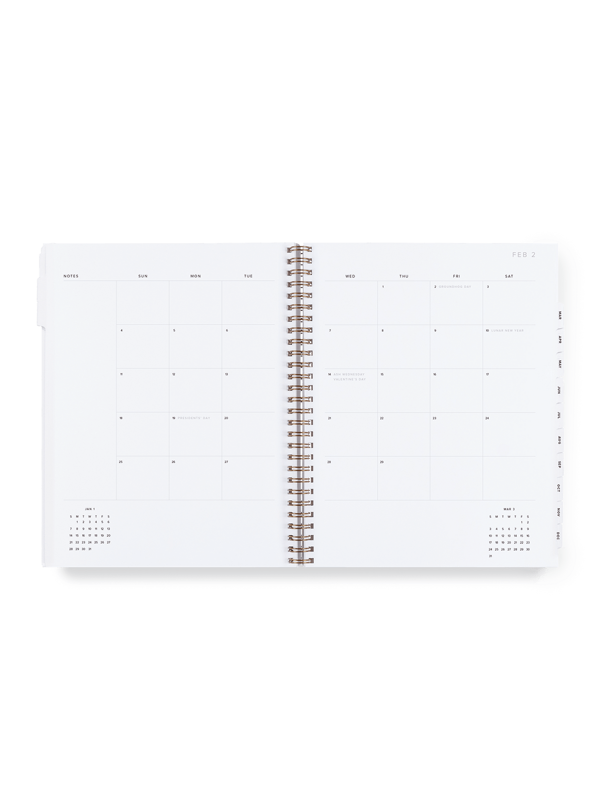 2025 Year Task Planner month view