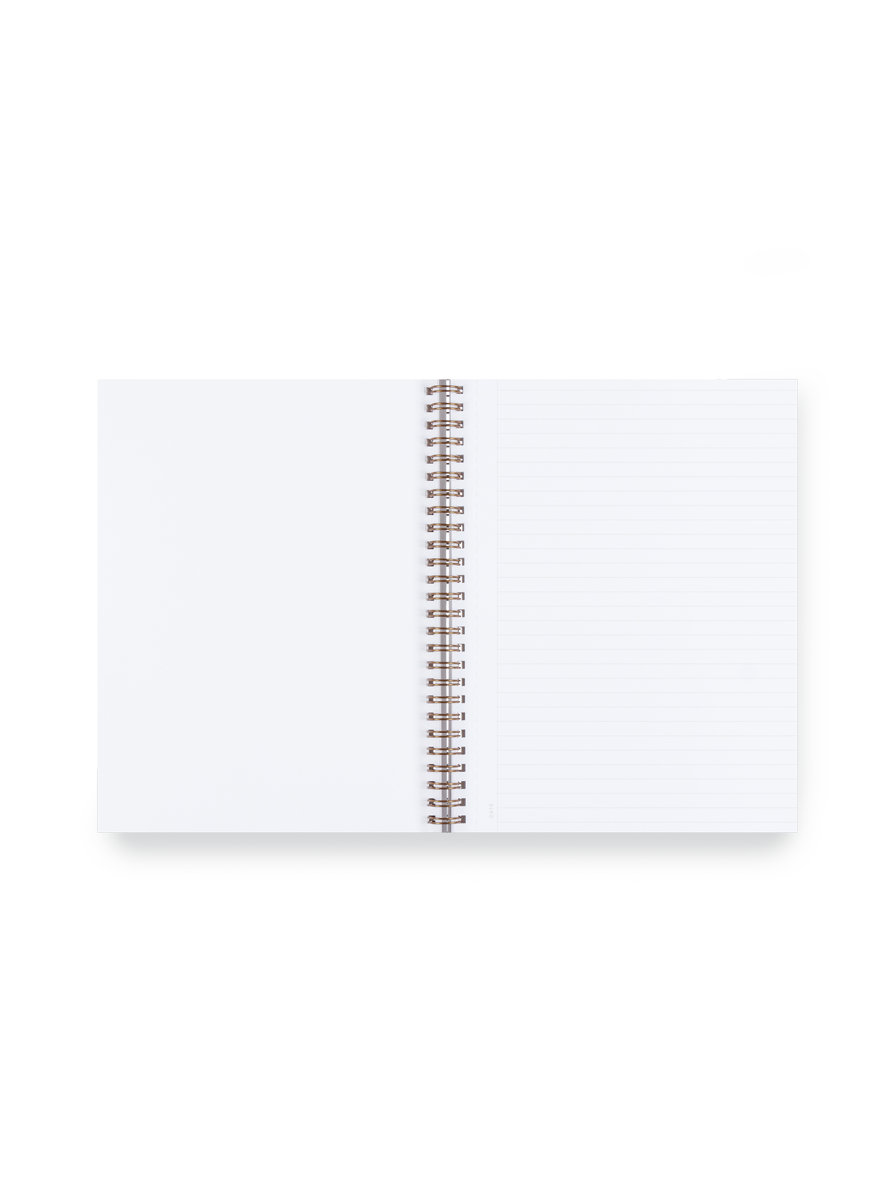 D.C. Workbook Interior with lined pages.