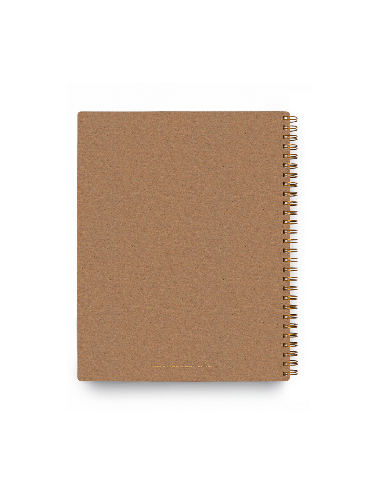 3 Subject Notebook Back Cover Chipboard