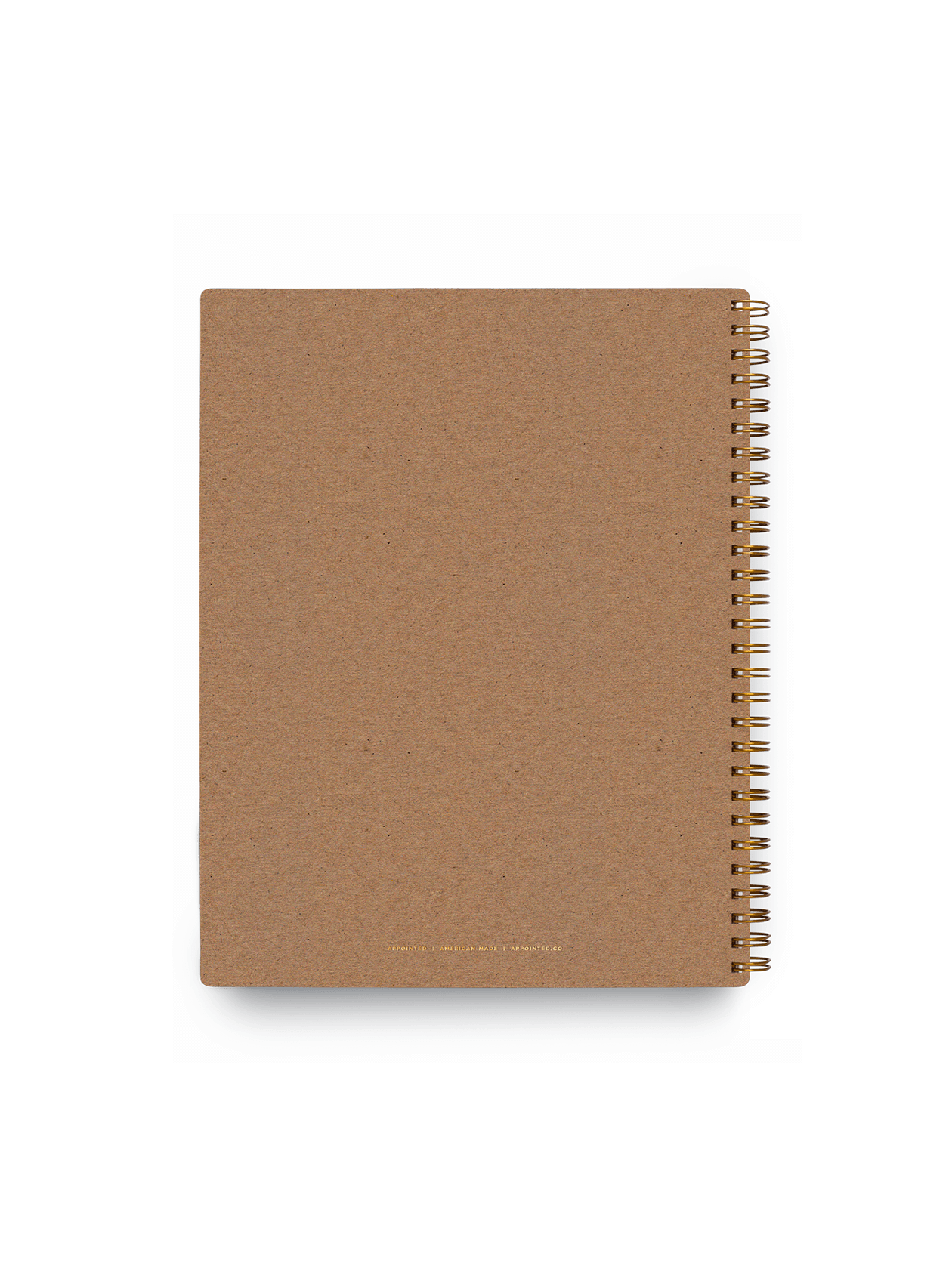 3 Subject Notebook Back Cover Chipboard