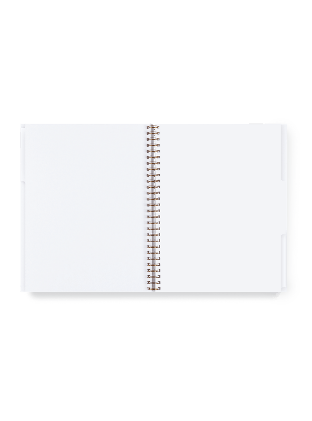 3 Subject Notebook Tabs