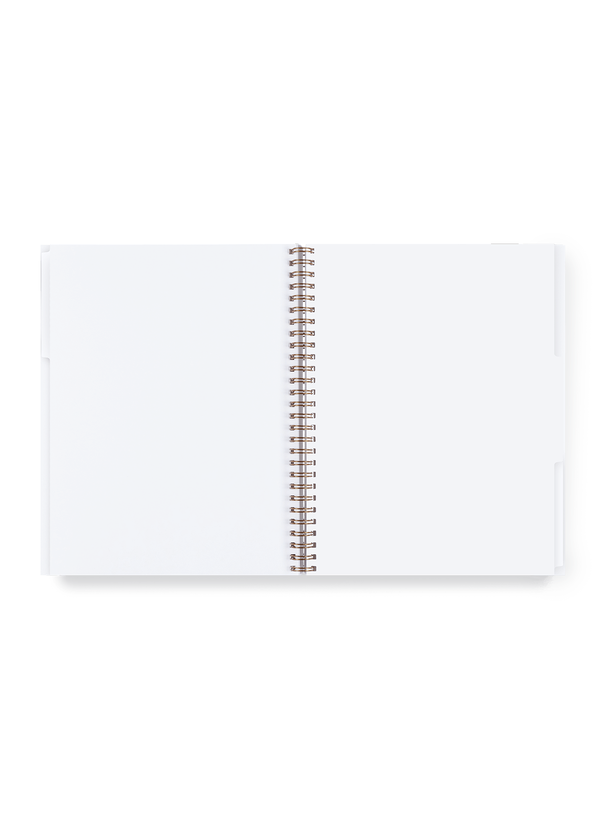 3 Subject Notebook Tabs