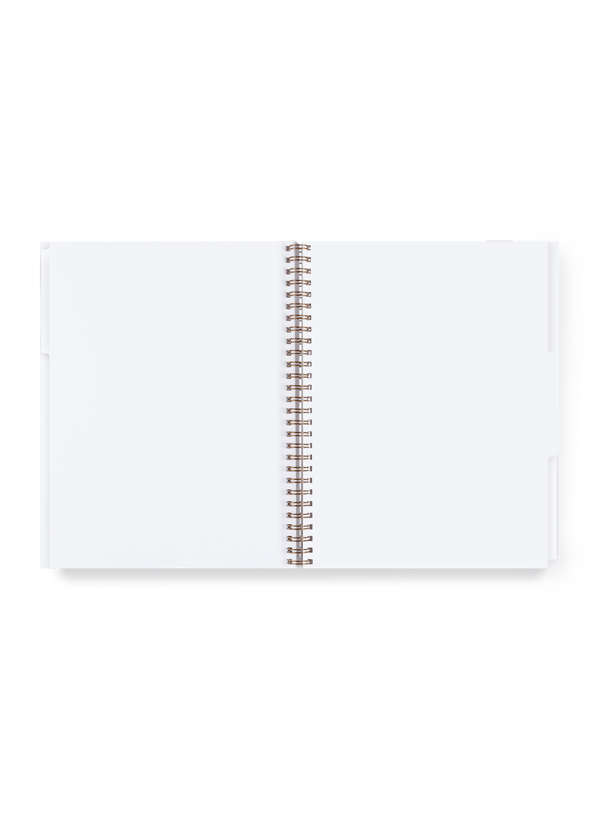 Subject Notebook - 3 Subject Lightweight Notebook- Appointed