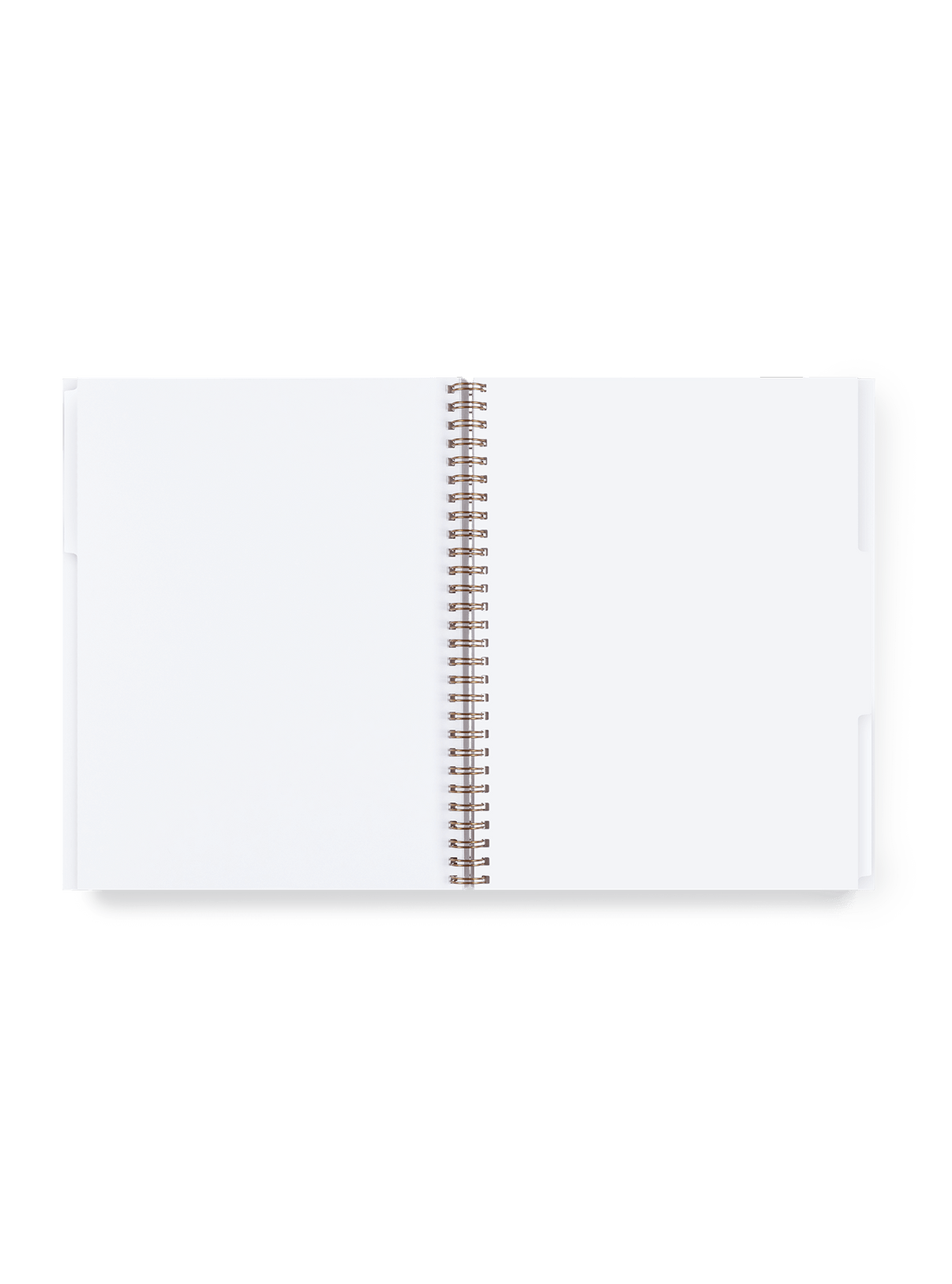 3 Subject Notebook Tabs