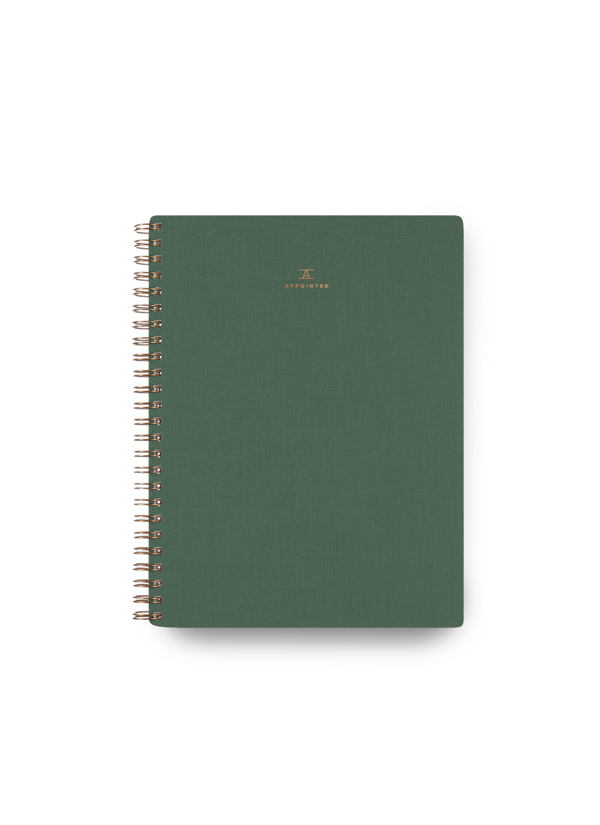 The Workbook in Fern Green