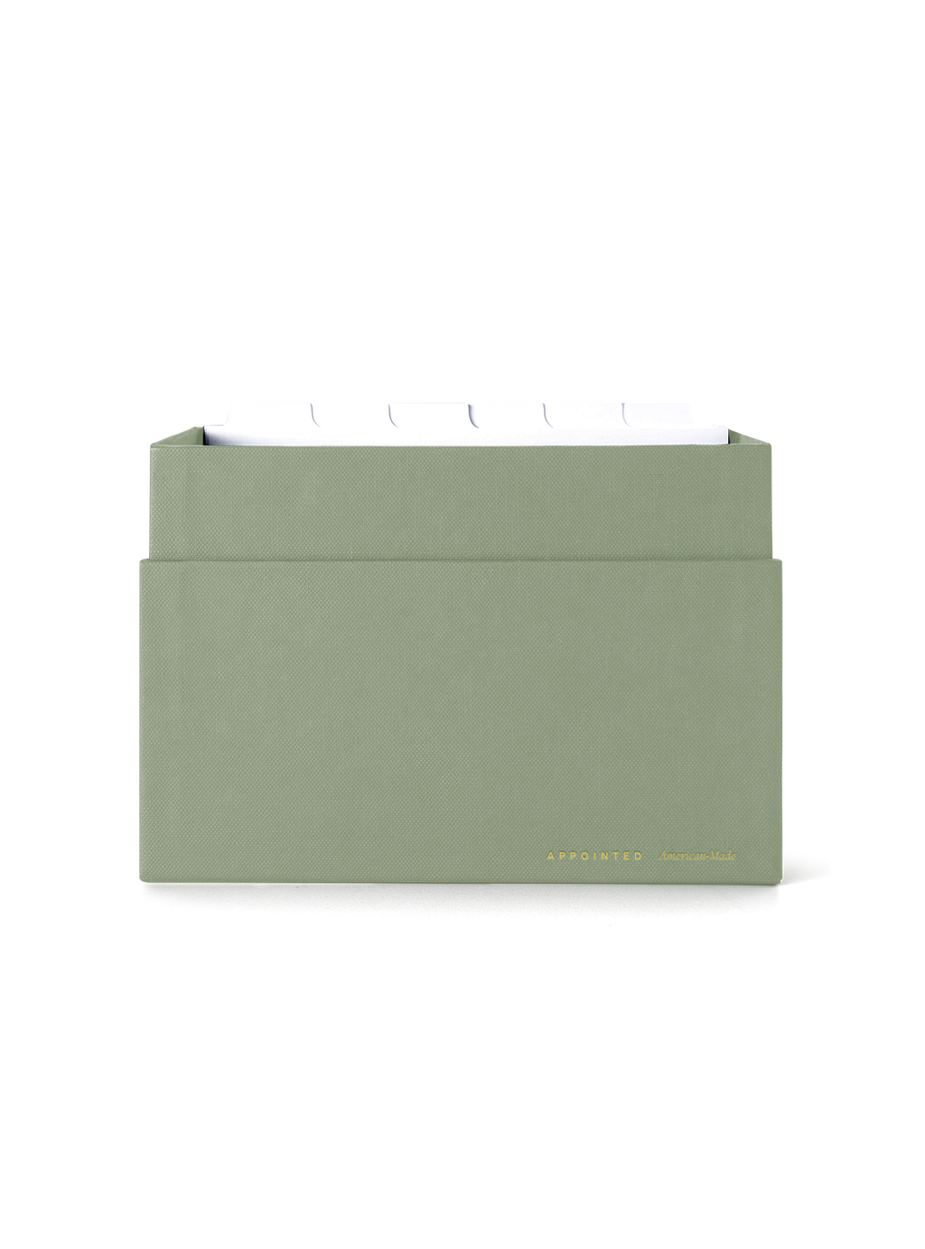 Eye-level view of desktop storage box, lid off showing dividers || Sage Green