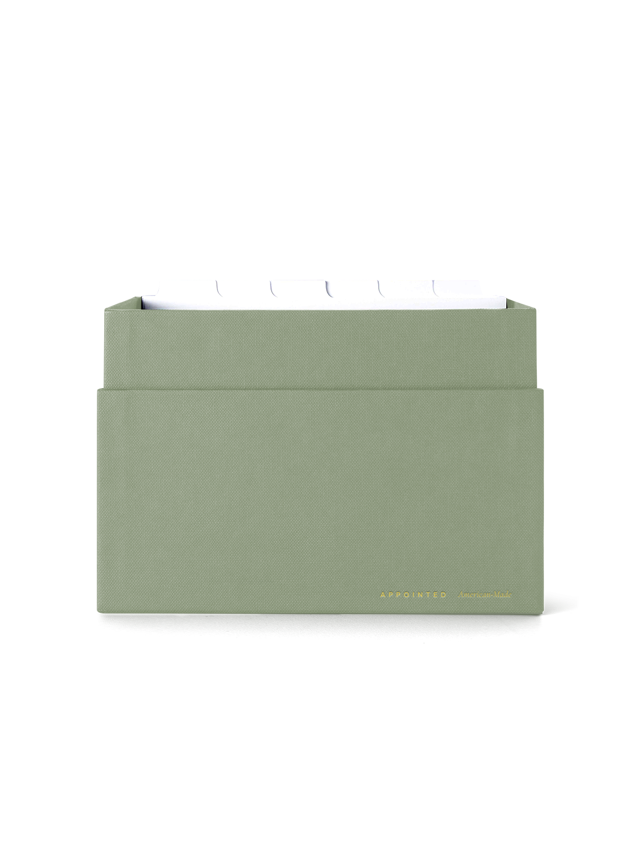 Eye-level view of desktop storage box, lid off showing dividers || Sage Green